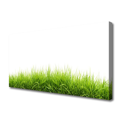 Quadro em tela Grama Natureza Planta