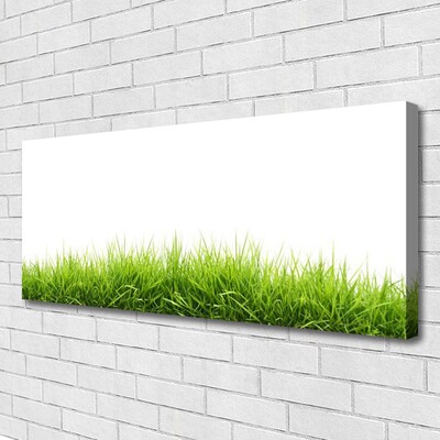 Quadro em tela Grama Natureza Planta