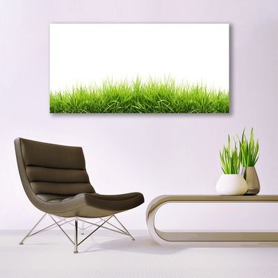 Quadro em tela Grama Natureza Planta