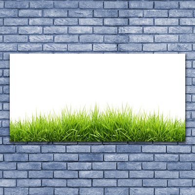 Quadro em tela Grama Natureza Planta