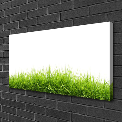 Quadro em tela Grama Natureza Planta