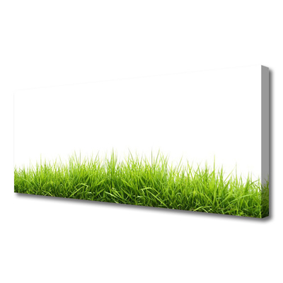 Quadro em tela Grama Natureza Planta