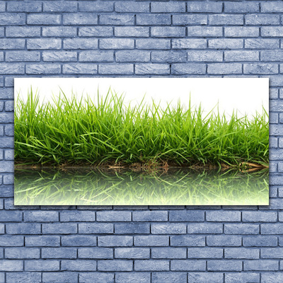 Quadro canvas Grama Água Natureza Planta