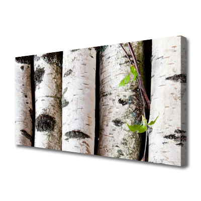 Quadro canvas Árvores Natureza