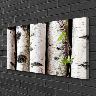 Quadro canvas Árvores Natureza