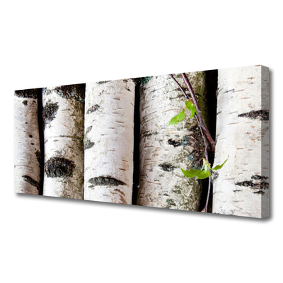 Quadro canvas Árvores Natureza