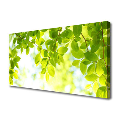 Quadro em tela Folhas Natureza Planta
