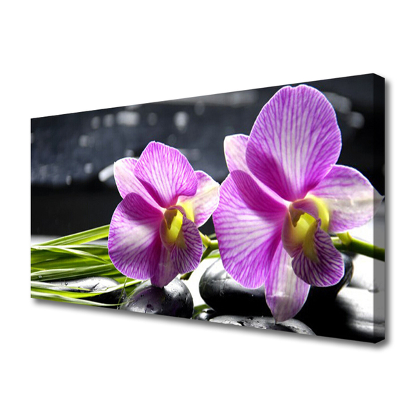 Quadro canvas Flores Planta Natureza