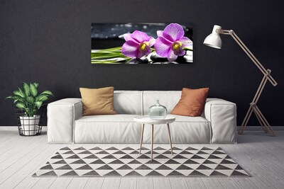 Quadro canvas Flores Planta Natureza