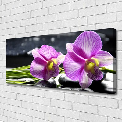 Quadro canvas Flores Planta Natureza