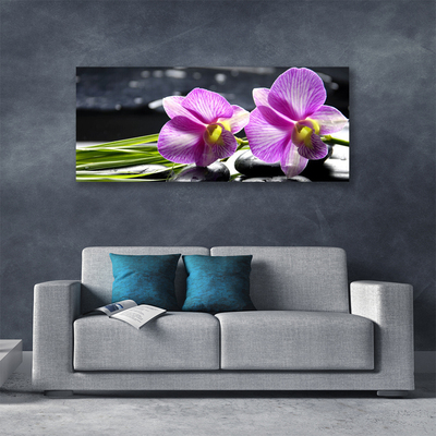 Quadro canvas Flores Planta Natureza