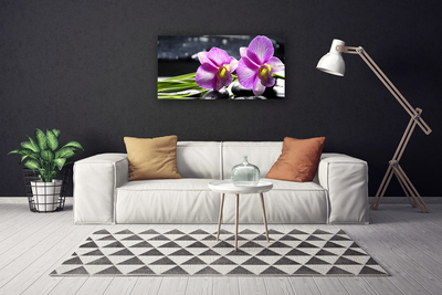 Quadro canvas Flores Planta Natureza