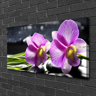 Quadro canvas Flores Planta Natureza