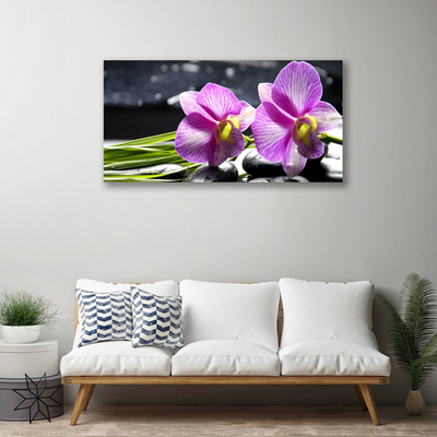 Quadro canvas Flores Planta Natureza
