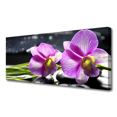Quadro canvas Flores Planta Natureza