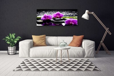 Quadro em tela Planta de orquídea flor