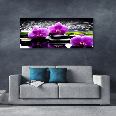 Quadro em tela Planta de orquídea flor