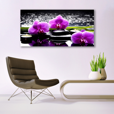 Quadro em tela Planta de orquídea flor