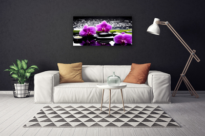 Quadro em tela Planta de orquídea flor