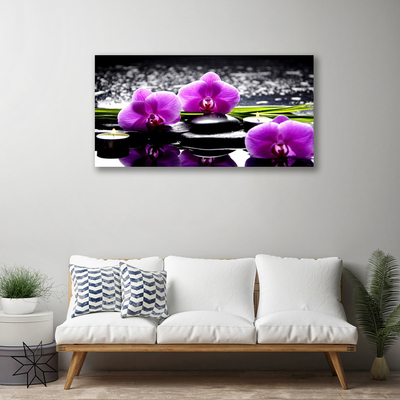 Quadro em tela Planta de orquídea flor