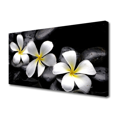 Quadro canvas Planta de flor de plumeria
