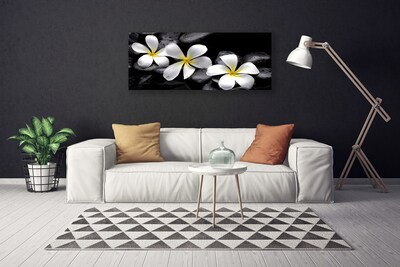Quadro canvas Planta de flor de plumeria