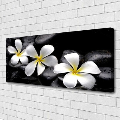 Quadro canvas Planta de flor de plumeria