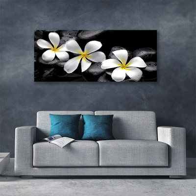 Quadro canvas Planta de flor de plumeria