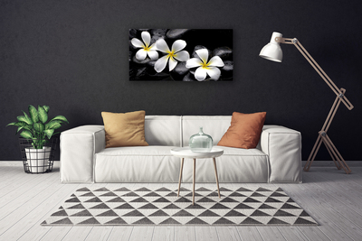 Quadro canvas Planta de flor de plumeria
