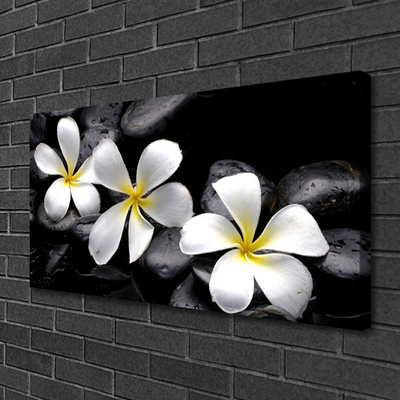 Quadro canvas Planta de flor de plumeria