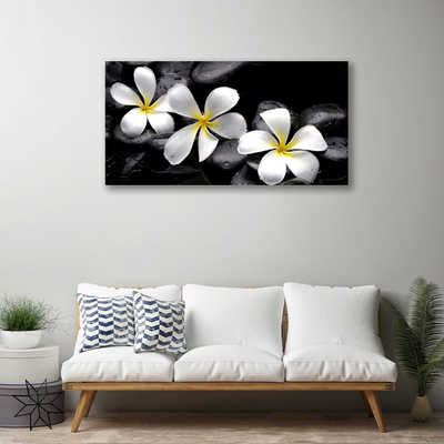 Quadro canvas Planta de flor de plumeria