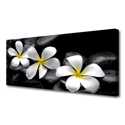 Quadro canvas Planta de flor de plumeria