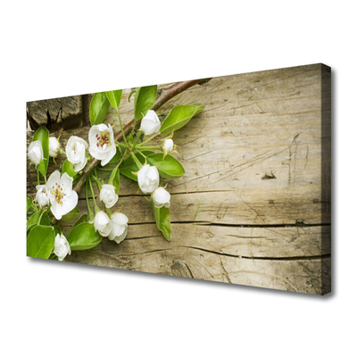Quadro canvas Flores Planta Natureza