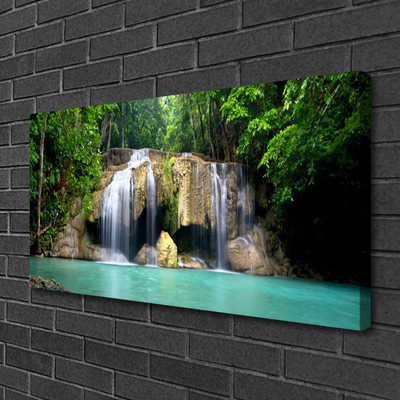 Quadro em tela Cachoeira Árvore Natureza