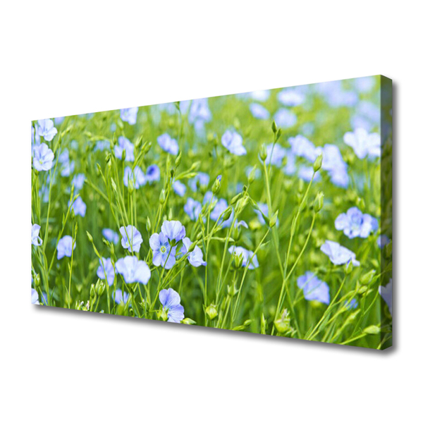 Quadro canvas Flores Grama Planta Natureza