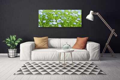 Quadro canvas Flores Grama Planta Natureza