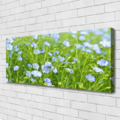 Quadro canvas Flores Grama Planta Natureza