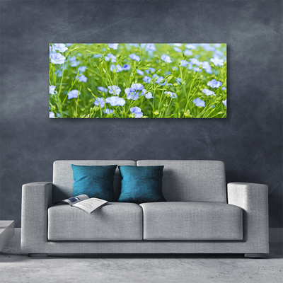 Quadro canvas Flores Grama Planta Natureza