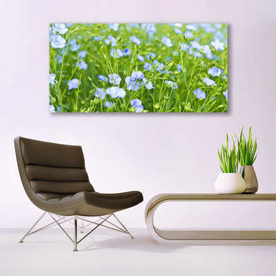 Quadro canvas Flores Grama Planta Natureza