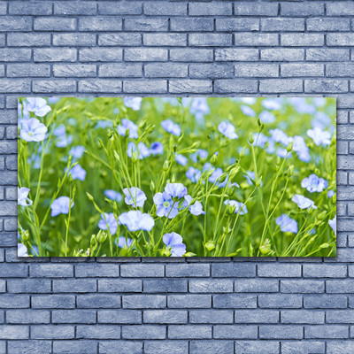 Quadro canvas Flores Grama Planta Natureza