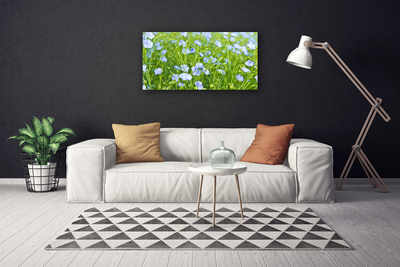 Quadro canvas Flores Grama Planta Natureza