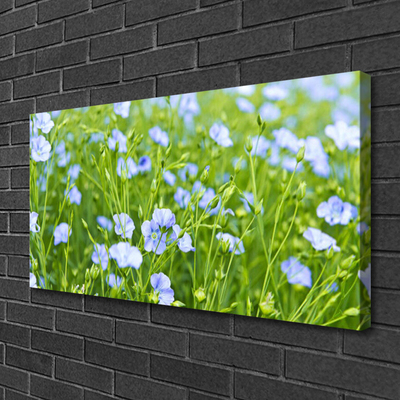 Quadro canvas Flores Grama Planta Natureza