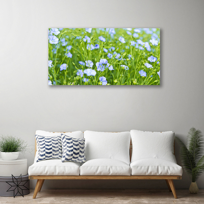 Quadro canvas Flores Grama Planta Natureza