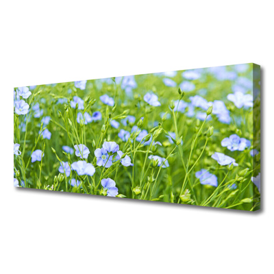 Quadro canvas Flores Grama Planta Natureza