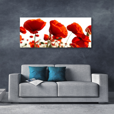 Quadro em tela Papoulas Plantam Natureza