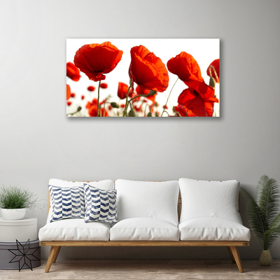 Quadro em tela Papoulas Plantam Natureza