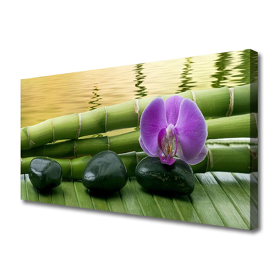 Quadro canvas Pedras de flores Bambu Natureza
