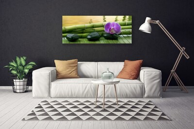 Quadro canvas Pedras de flores Bambu Natureza