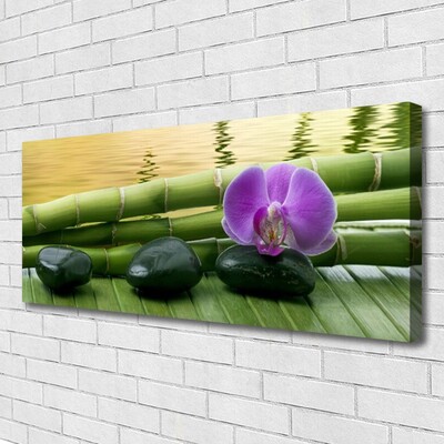 Quadro canvas Pedras de flores Bambu Natureza