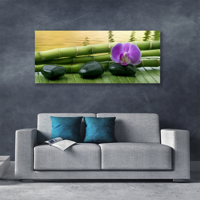 Quadro canvas Pedras de flores Bambu Natureza